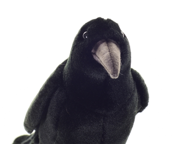 Krähe 18 cm